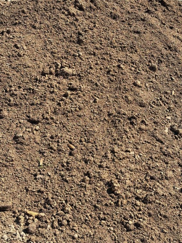 Cow Manure / Dairy Compost