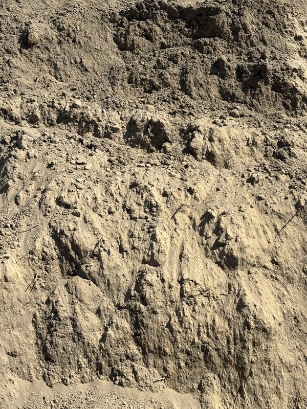 Fill Dirt