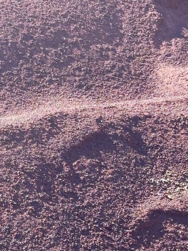 Red Sand